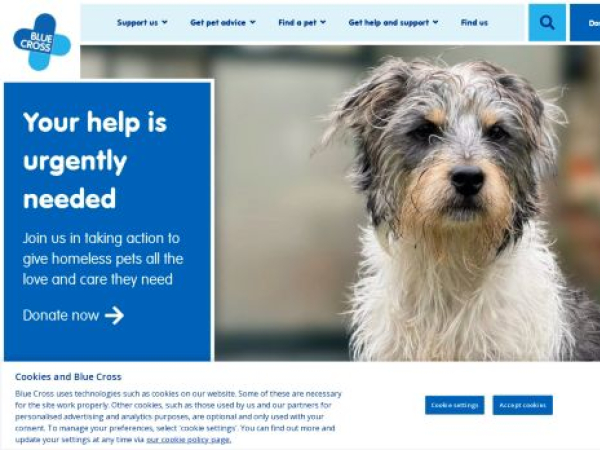 bluecross.org.uk
