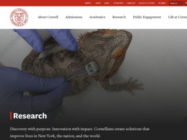 cornell.edu