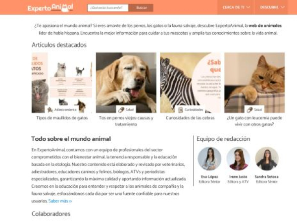 expertoanimal.com